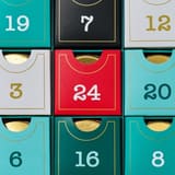 DAVIDsTEA 24 Days of Tea Advent Calendar - photo 7