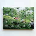 Team Tea box printed with a tea-garden photograph and white outline icons numbered from 1 to 25, including a calendar icon marked 25.