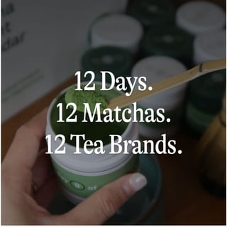 Hand schöpft Matcha aus einer Dose, The Roasters Pack 12 days of matcha