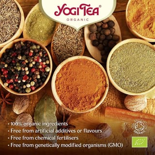 Yogi Tea Organic Christmas Advent Calendar - photo 1