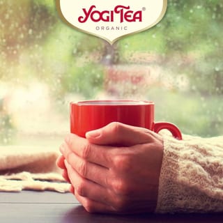 Yogi Tea Organic Christmas Advent Calendar - photo 7